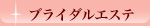 �u���C�_���G�X�e